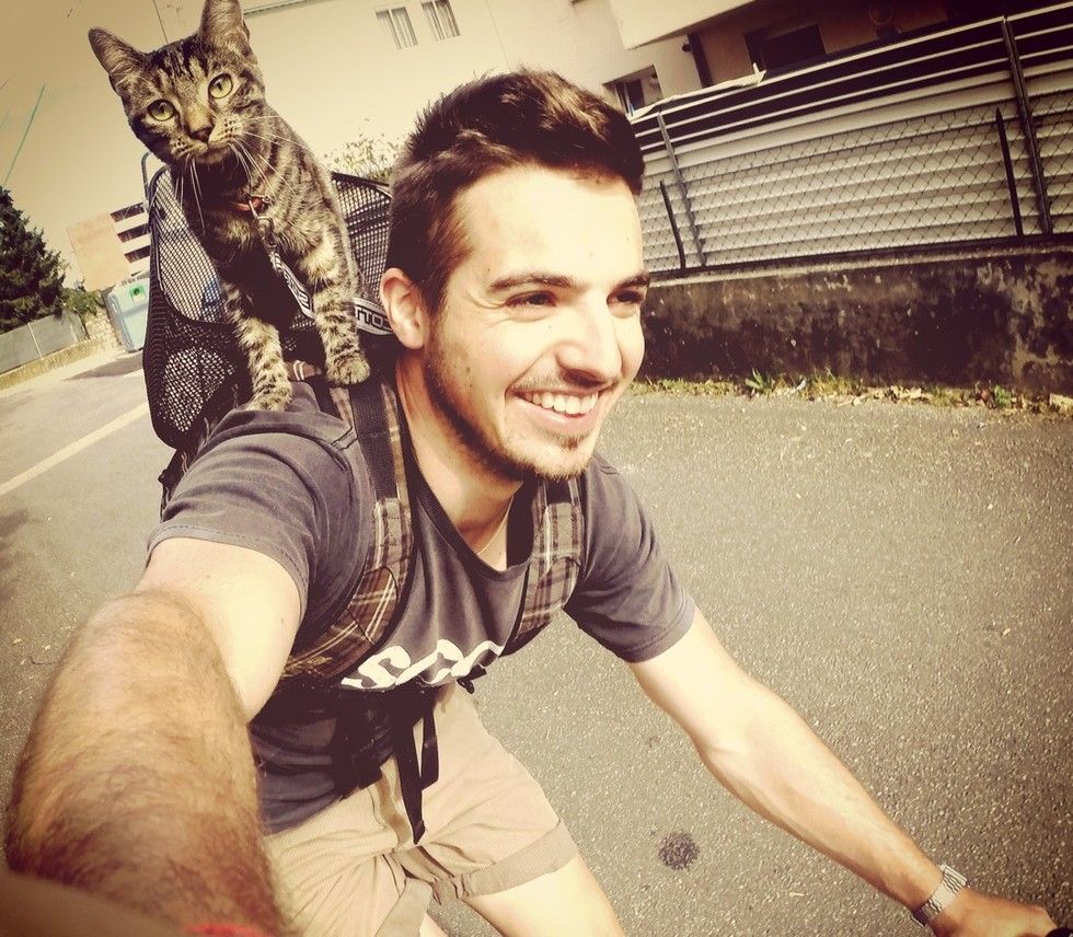 man adopted shelter cat goes on adventures with her
