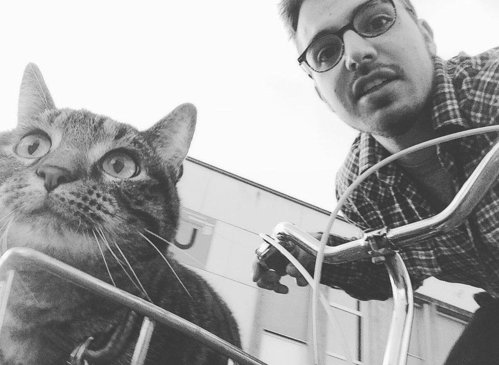 man adopted shelter cat goes on adventures with her