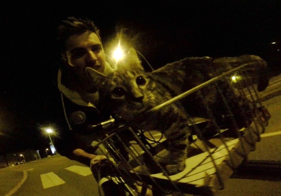 man adopted shelter cat goes on adventures with her