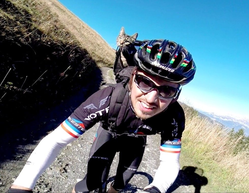 man adopted shelter cat goes on adventures with her