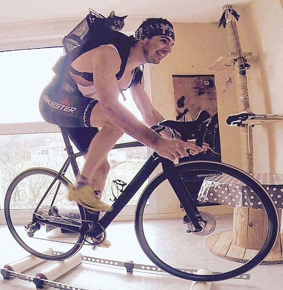 man adopted shelter cat goes on adventures with her