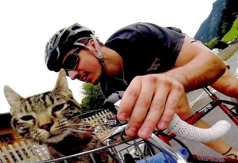 man adopted shelter cat goes on adventures with her