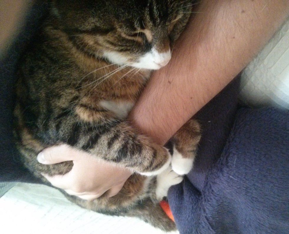 man and cat 21 years together