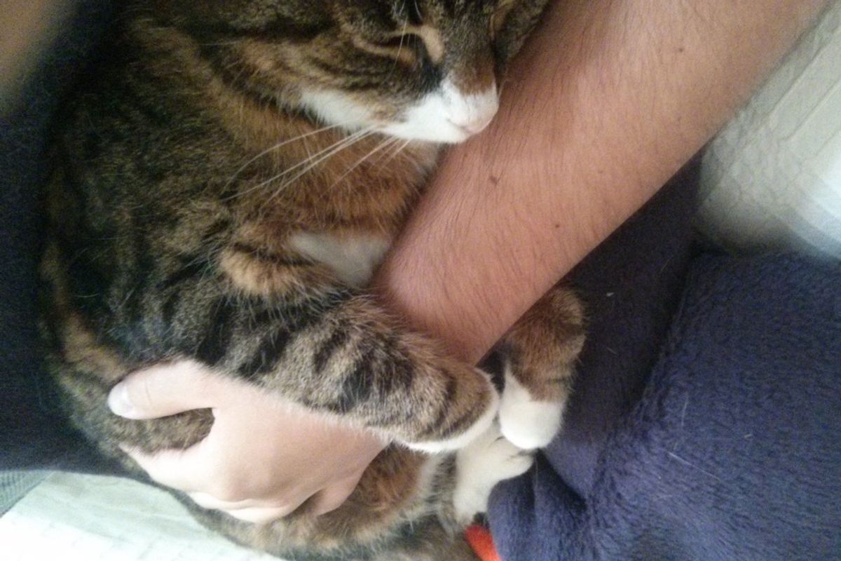 man and cat 21 years together