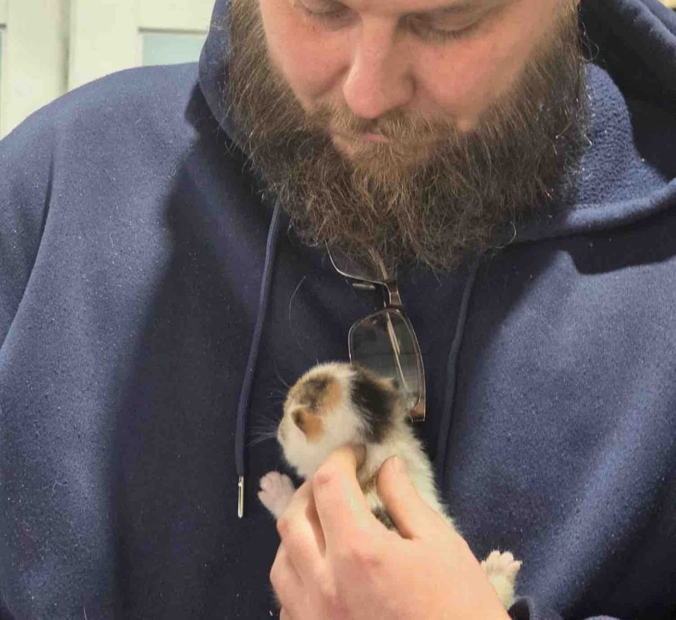 man hugs calico kitten