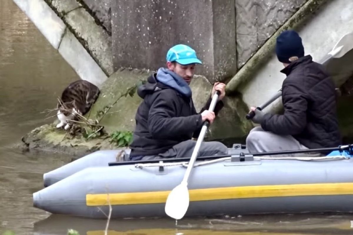 men rescued cat stranded under bridge in a boat