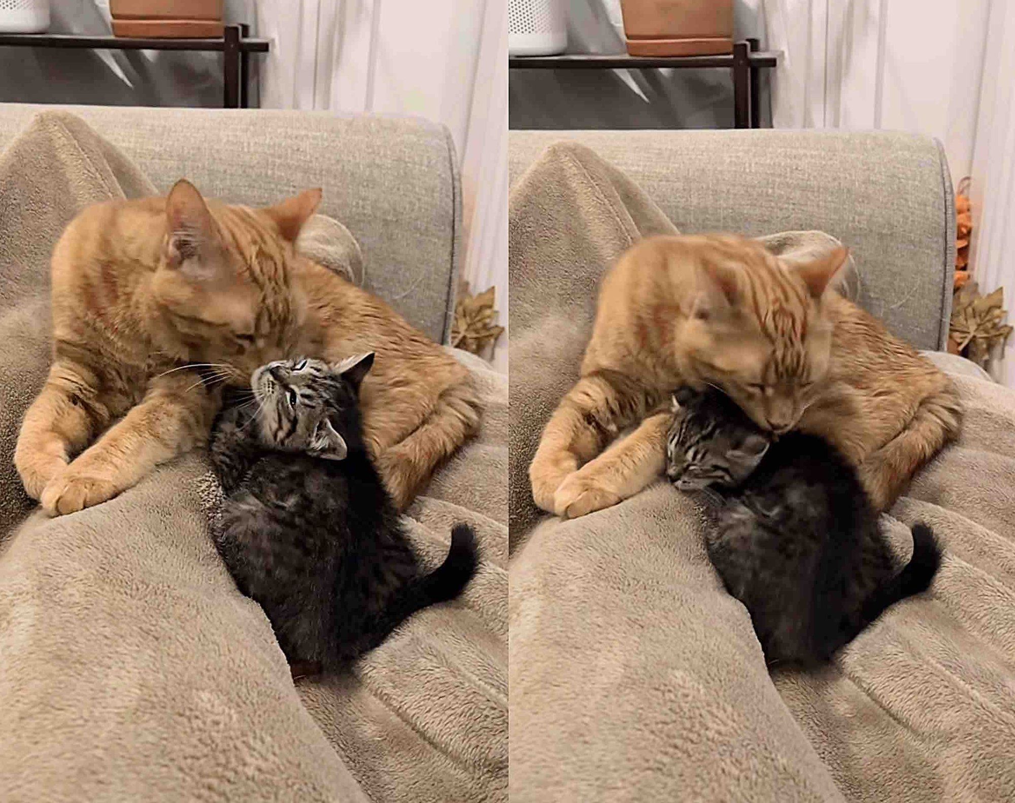 ベンジーとティーンシー