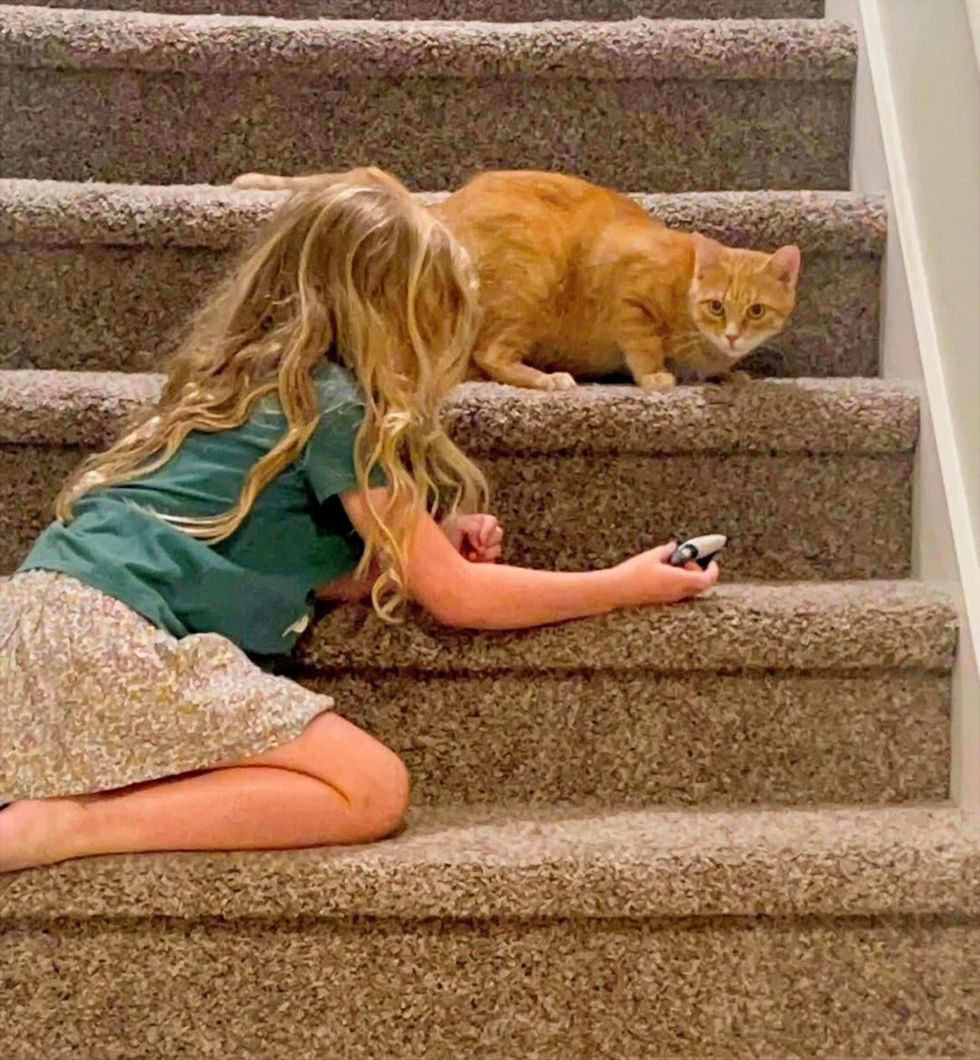 Orange tabby cat playing on carpeted stairs with new member of the family a little girl