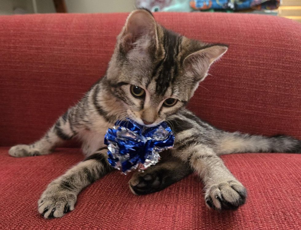 Present with her favorite crinkly toy