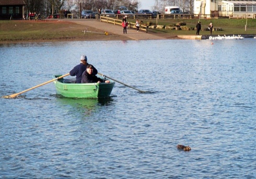 rangers save cat from reservoir after she plunged into water to chase bird