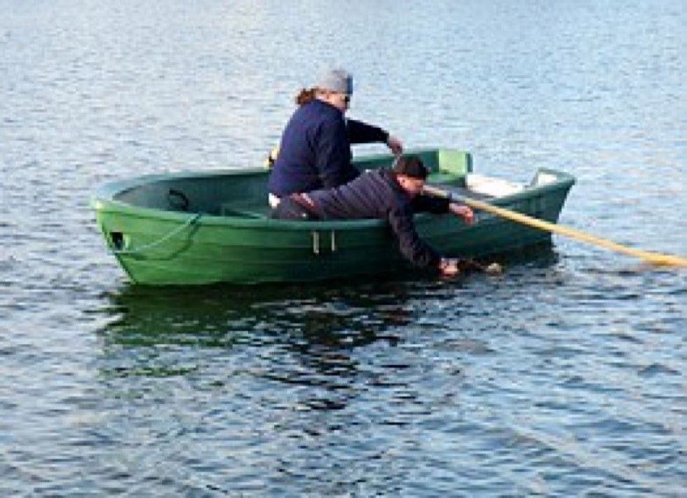 rangers save cat from reservoir after she plunged into water to chase bird