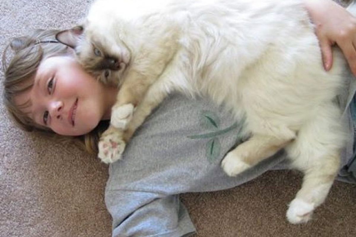 raul therapy cat helps children learn and read