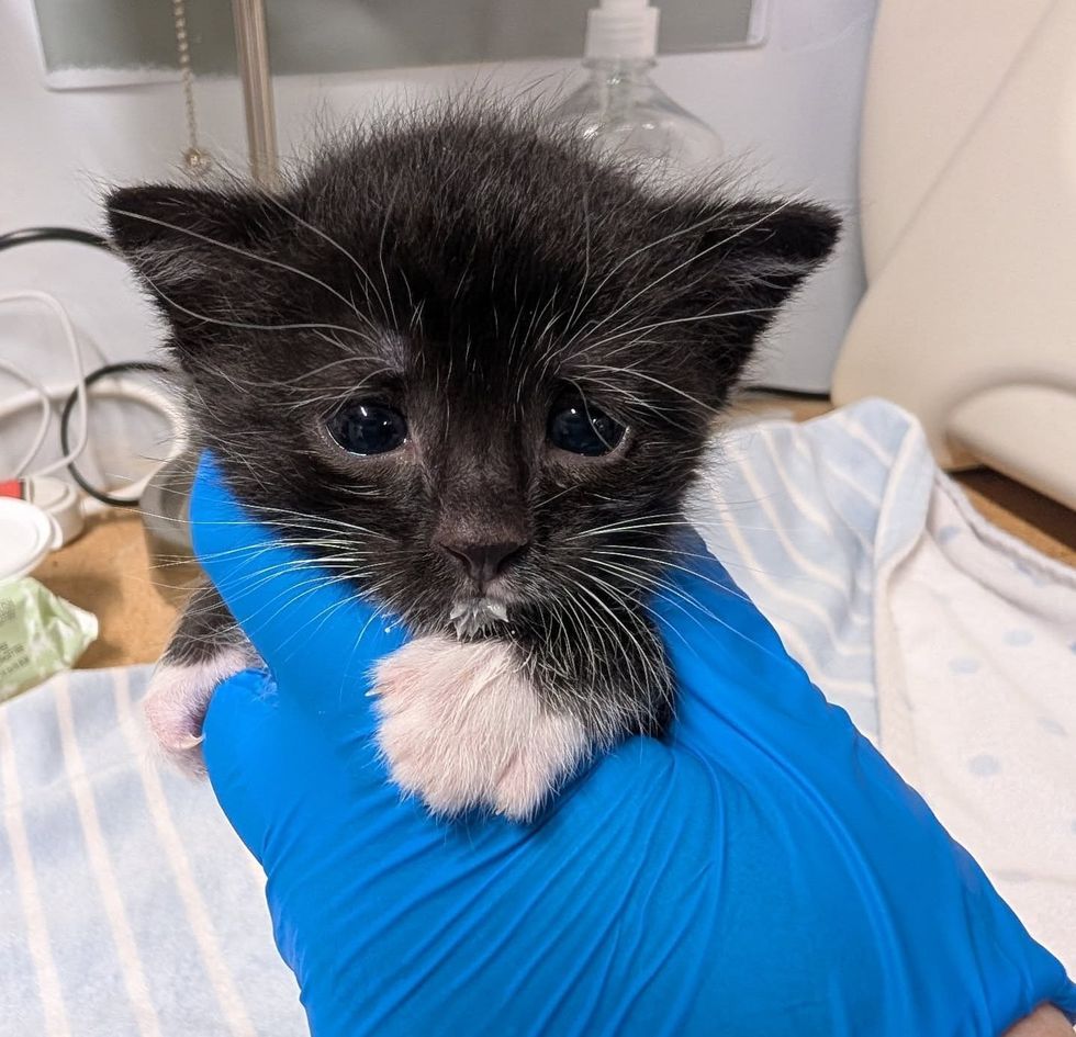 River in the foster's hands