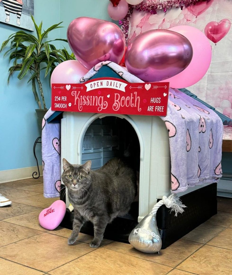 Seneca emerging from her decorated kissing booth on Valentine's Day