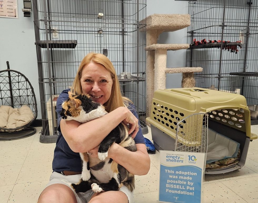 senior cat getting adopted with love