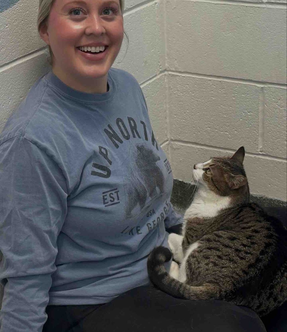 shelter cat lap time