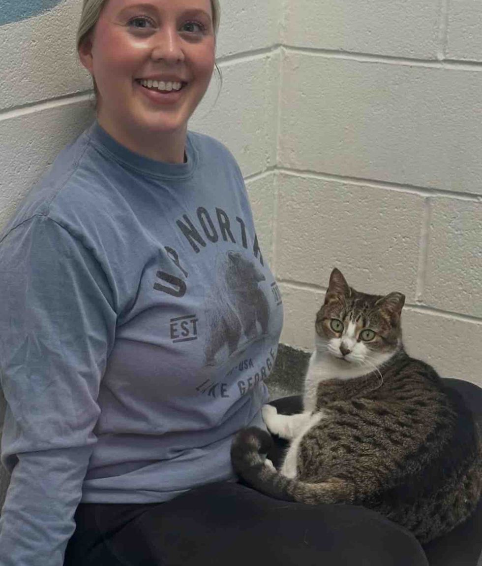 shelter volunteer lap cat