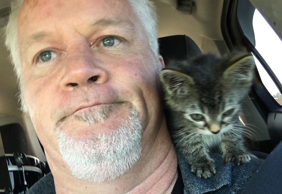 shoulder kitten, sticky the cat