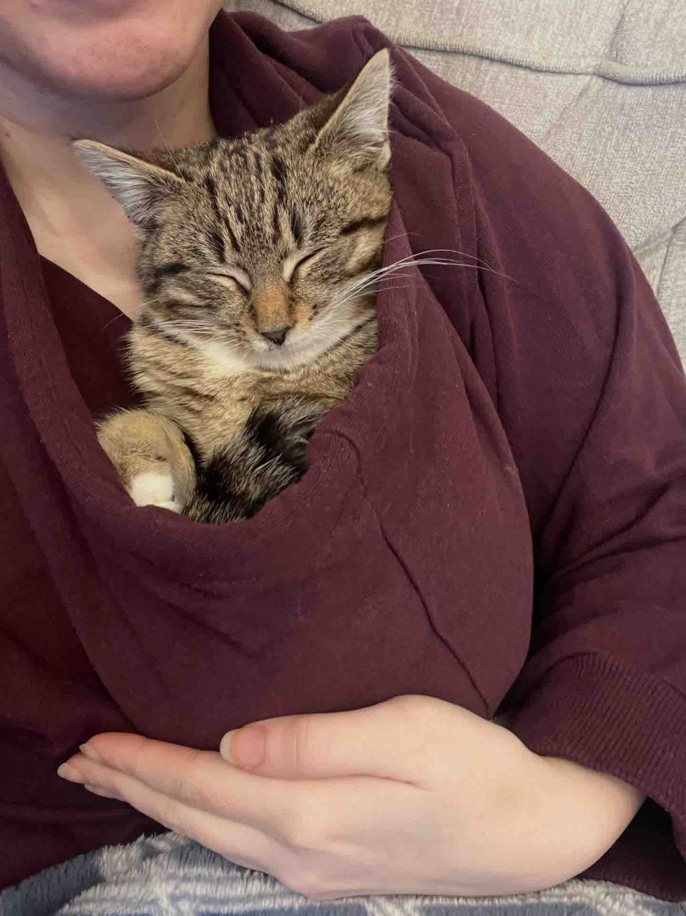 snuggly kitten happy