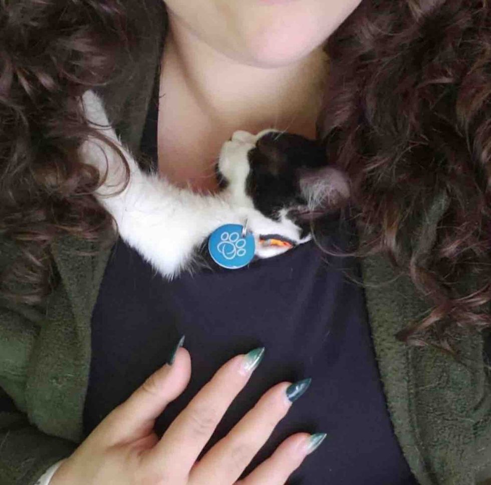 snuggly kitten sleeping shirt