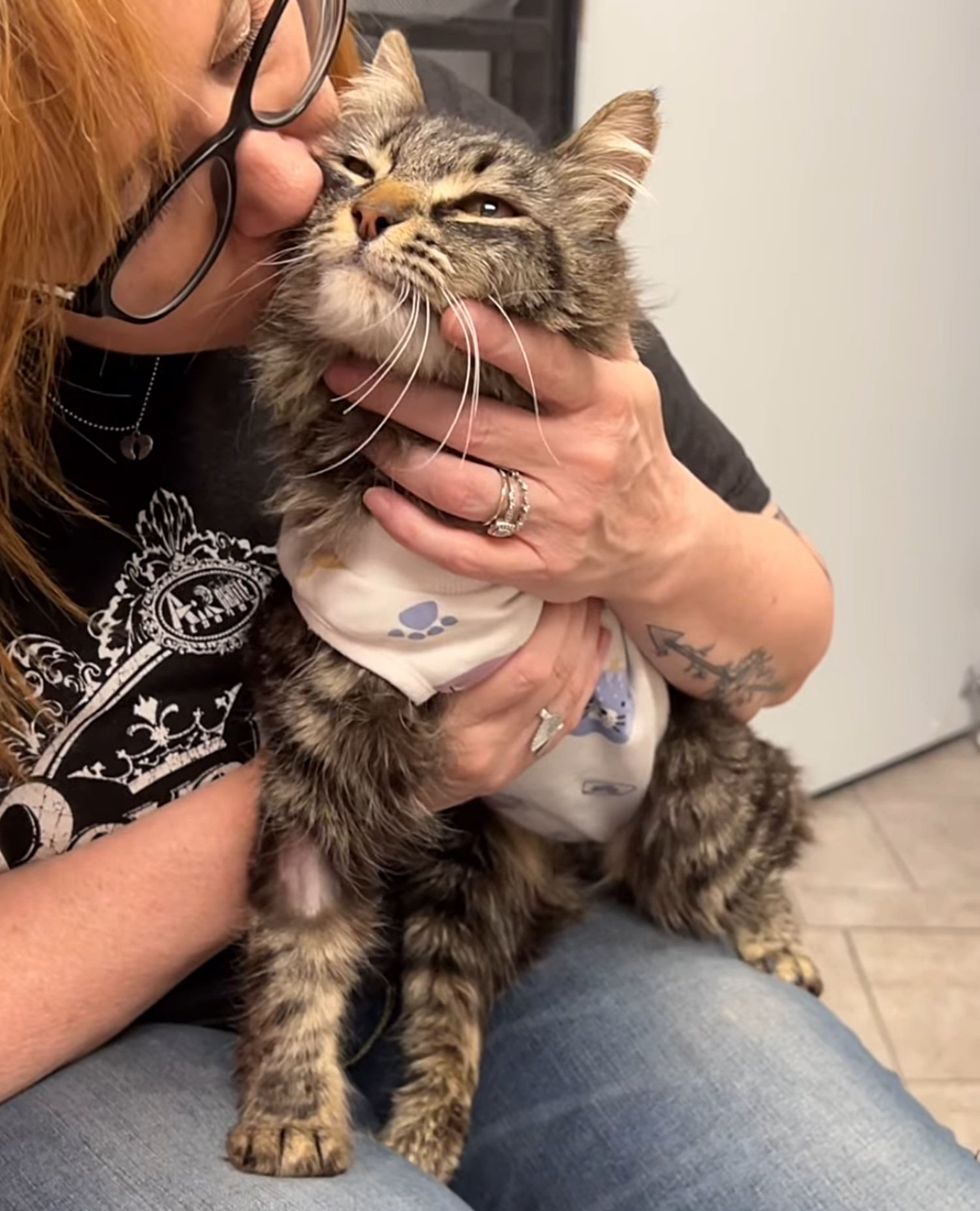 snuggly tripawd cat hug