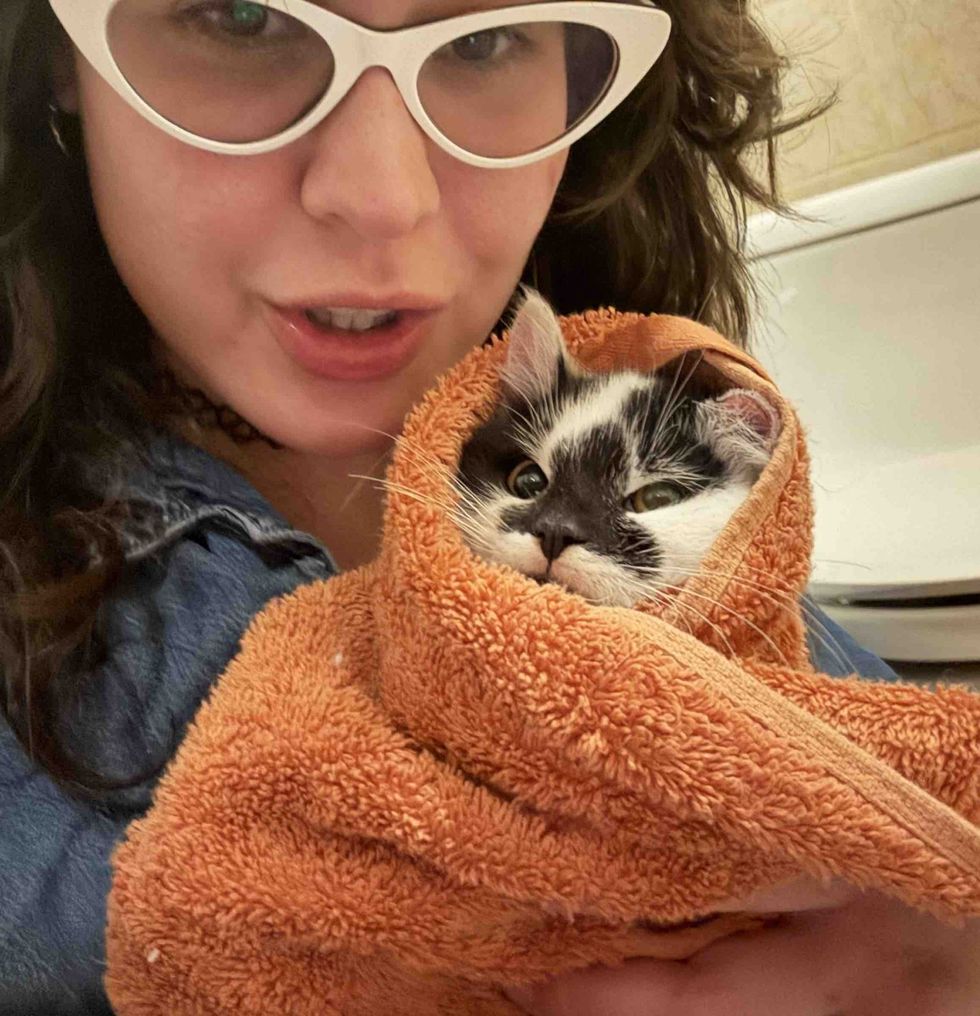 socializing kitten purrito