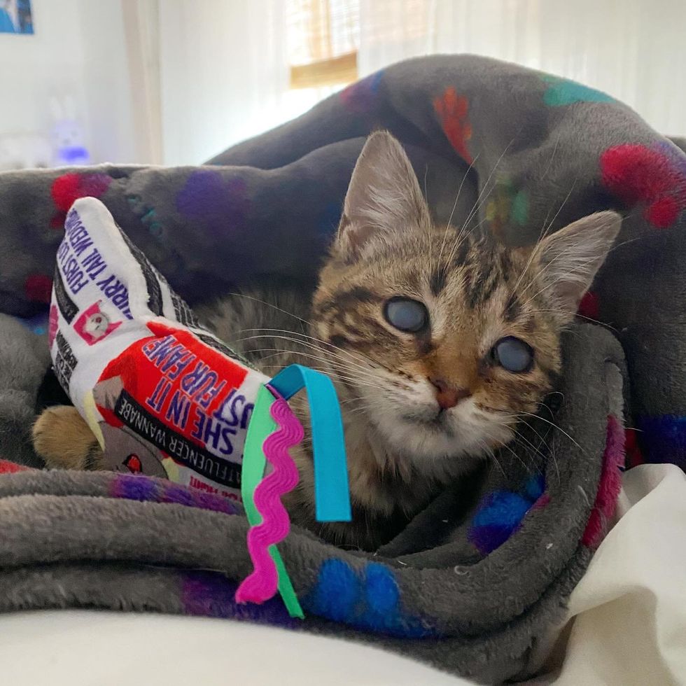 心温まるブリス