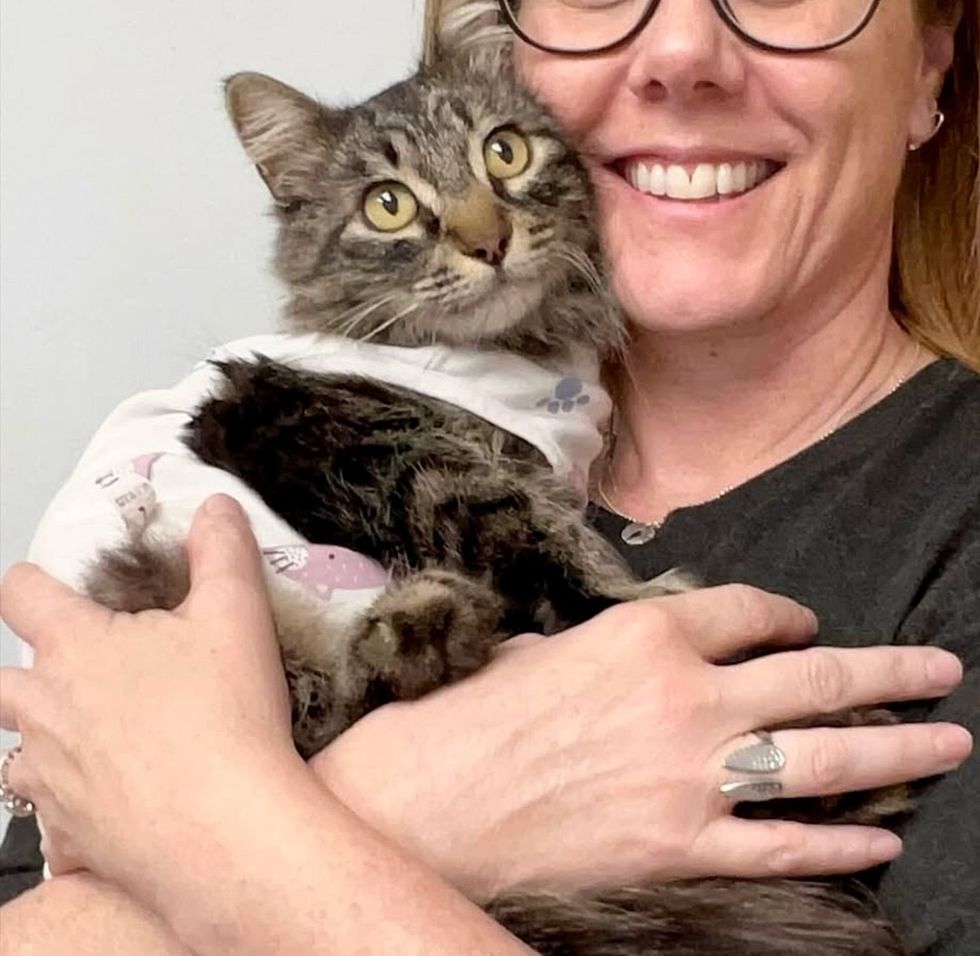 tabby cat snuggles tripawd