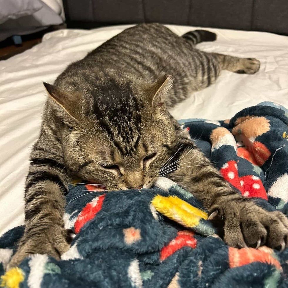 ベッドでリラックス