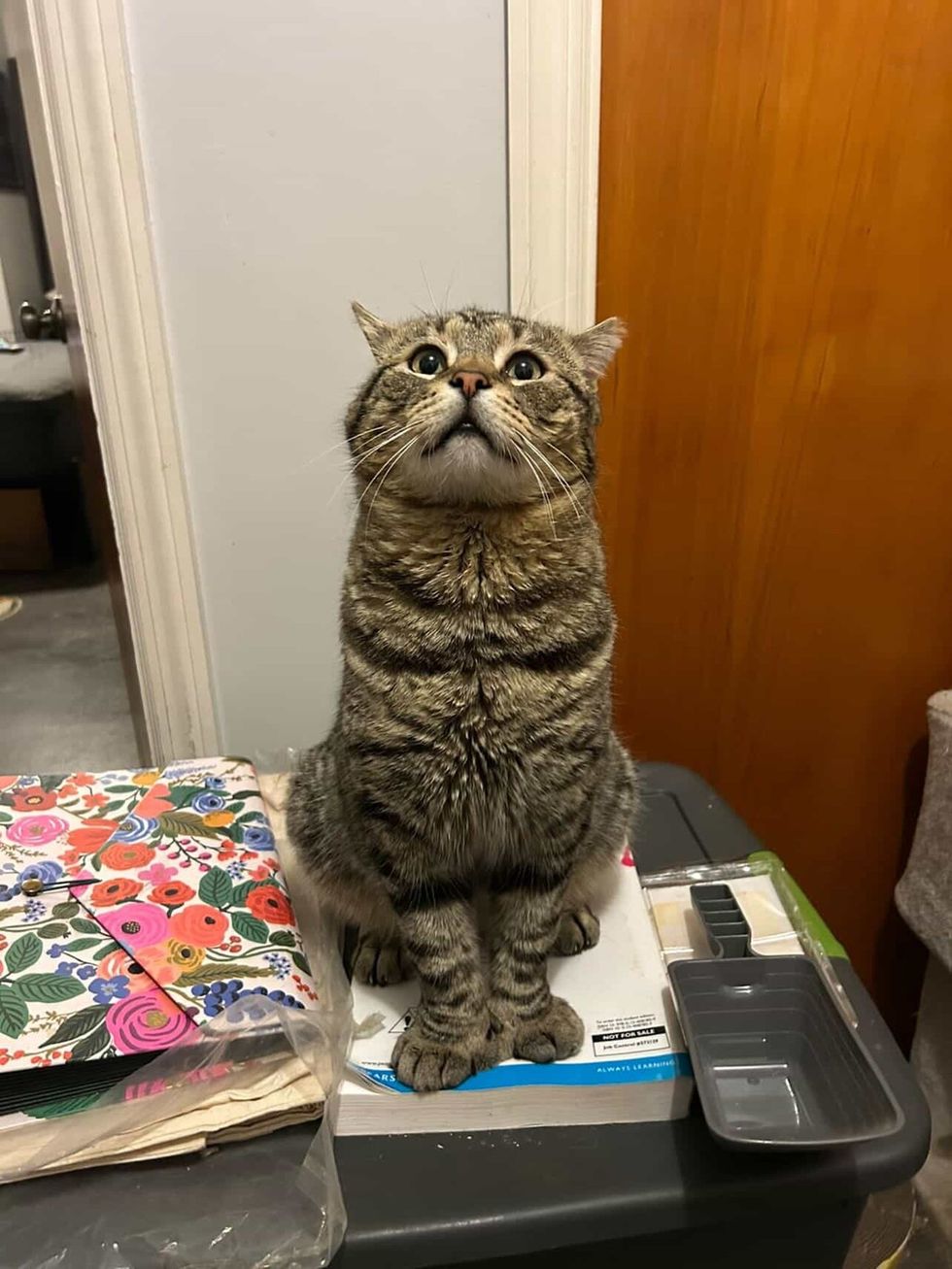 サーロイン王子