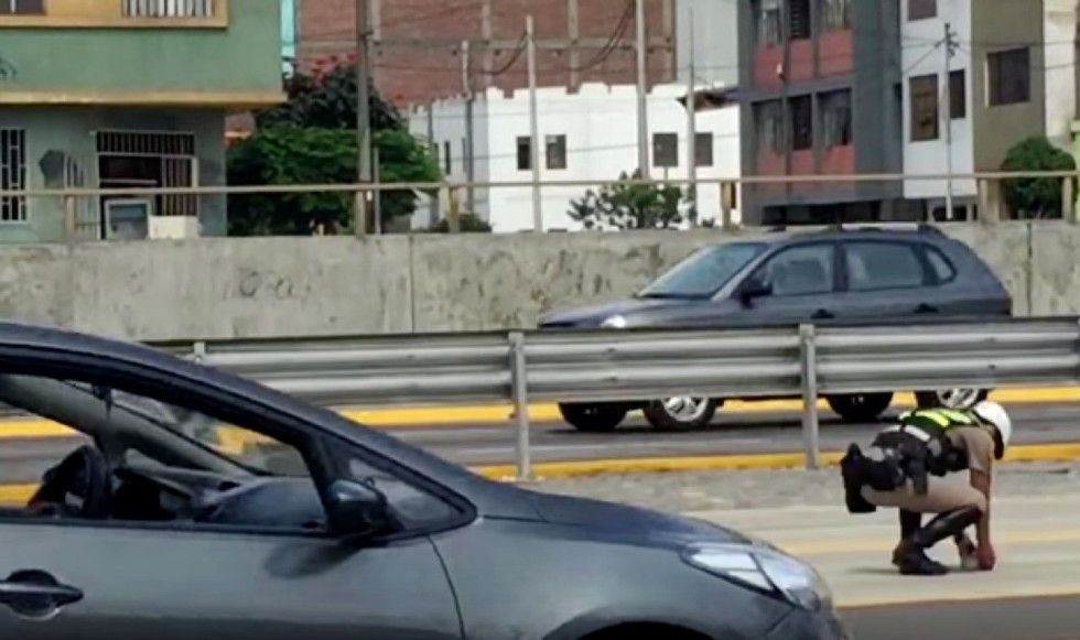 traffic police rescues kitten before run over by bus