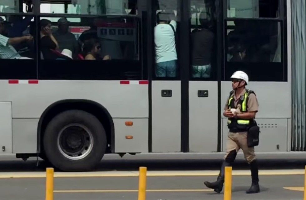 traffic police rescues kitten before run over by bus
