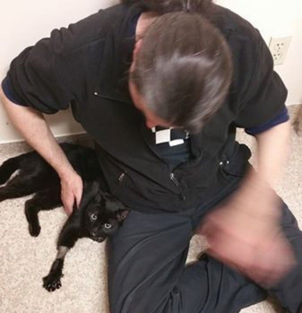 truck driver saves injured cat and adopts him