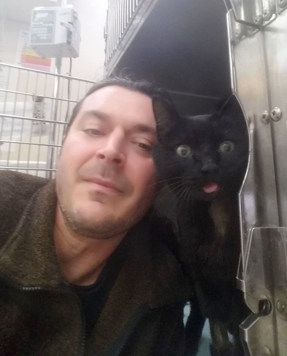 truck driver saves injured cat and adopts him