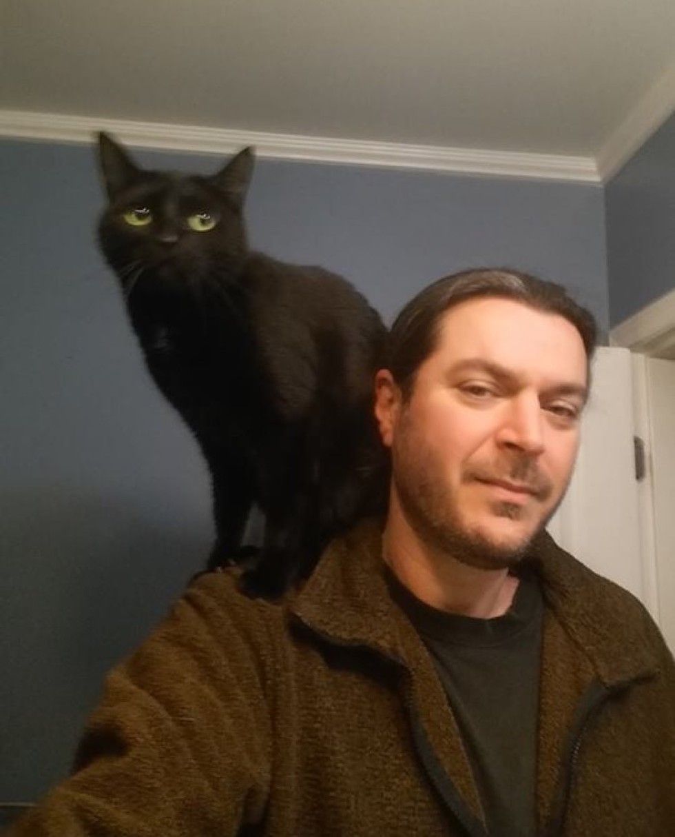 truck driver saves injured cat and adopts him