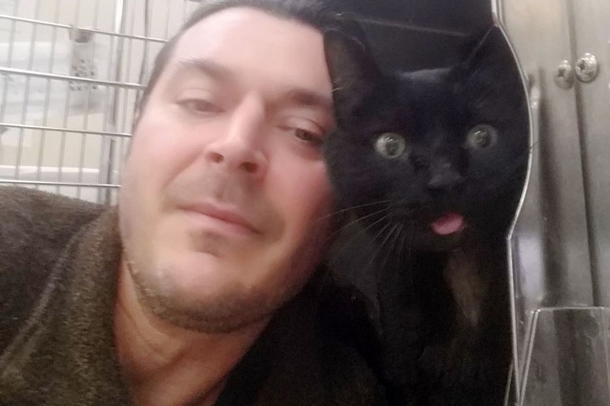 truck driver saves injured cat and adopts him