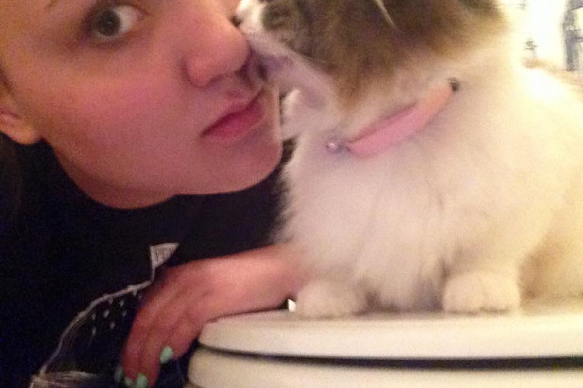 woman rescued kitten adopted